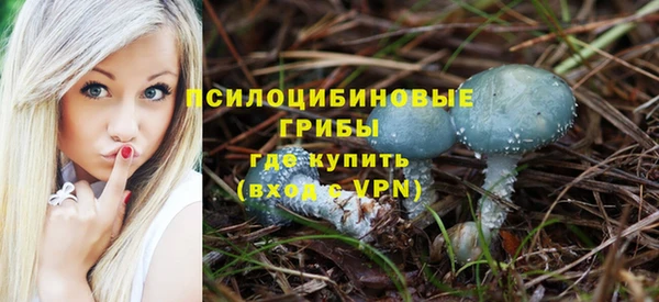 герыч Пересвет