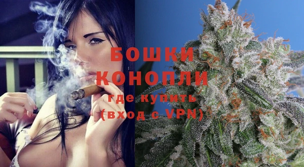 дживик Пестово