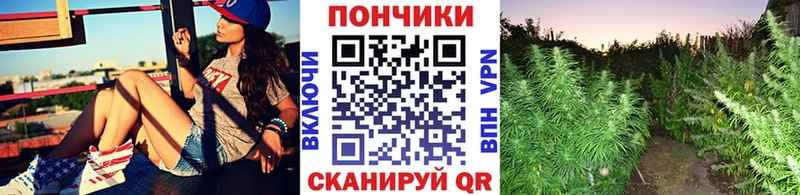 Конопля SATIVA & INDICA  Беломорск 